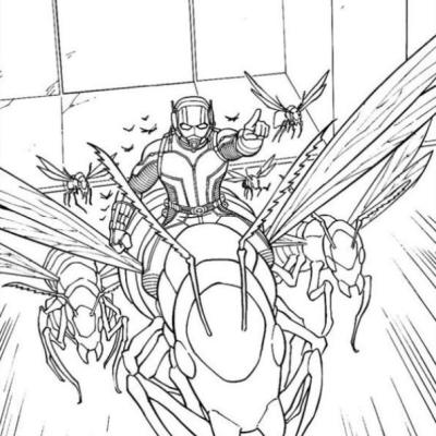 Ourcoloringpage Ant Man 2