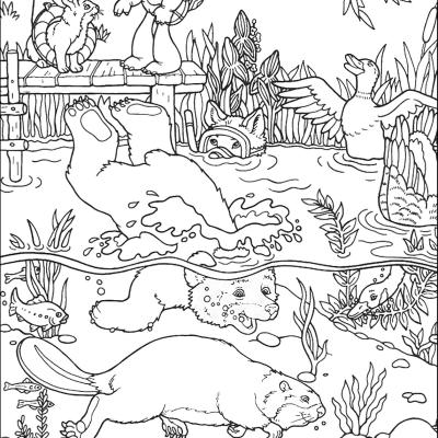 Ourcoloringpage Franklin The Turtle 10
