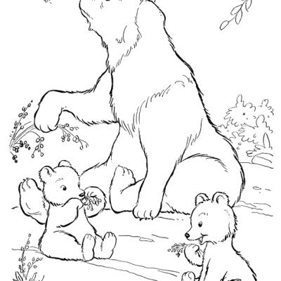 Ourcoloringpage Bear 31