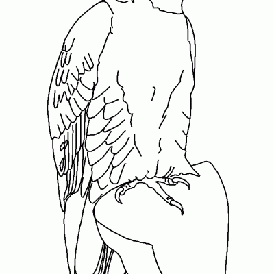 Ourcoloringpage Bear 26