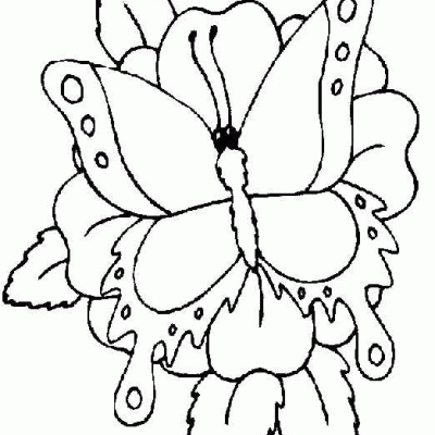 Ourcoloringpage Butterflies 50