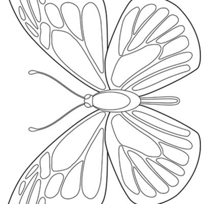 Ourcoloringpage Butterflies 54