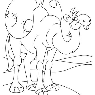 Ourcoloringpage Camels 25