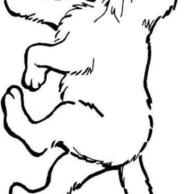 Ourcoloringpage Cats 20