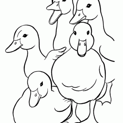 Ourcoloringpage Ducks 22