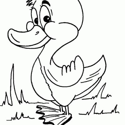 Ourcoloringpage Ducks 51
