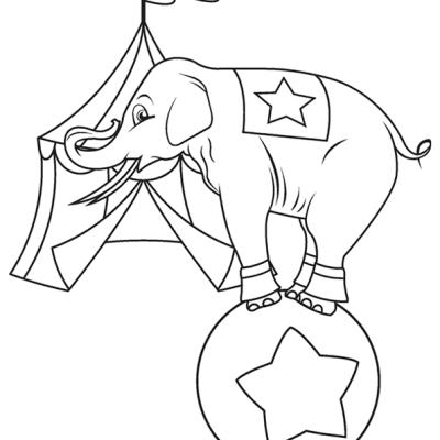 Ourcoloringpage Elephants 25