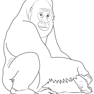 Ourcoloringpage Gorillas 29