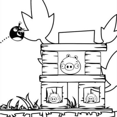 Ourcoloringpage Angry Birds 12