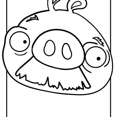 Ourcoloringpage Angry Birds 43