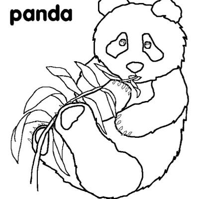 Ourcoloringpage Pandas 12
