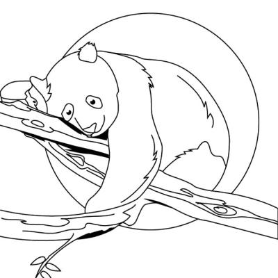 Ourcoloringpage Pandas 14