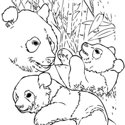 Ourcoloringpage Pandas 18