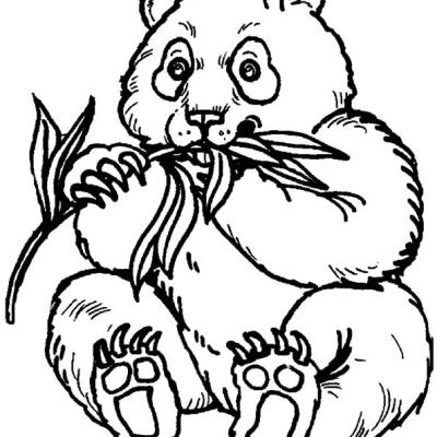Ourcoloringpage Pandas 3
