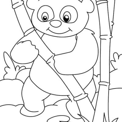 Ourcoloringpage Pandas 6