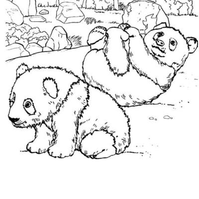 Ourcoloringpage Pandas 7